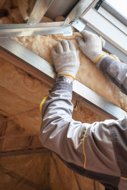 Best Insulation Inspection Services  in Olmsted Falls, OH