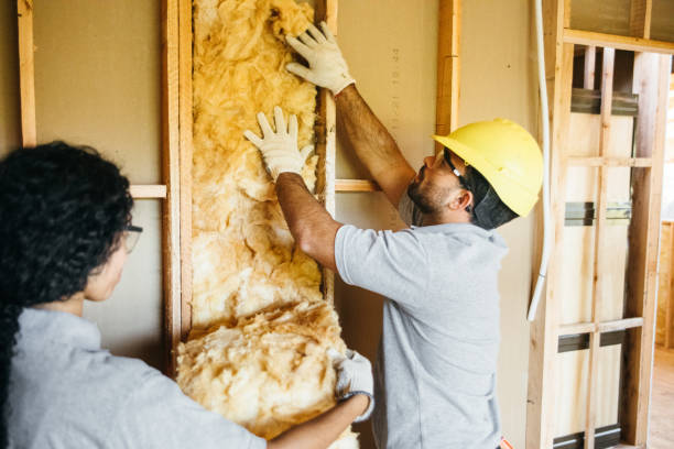 Best Garage Insulation Installation  in Olmsted Falls, OH