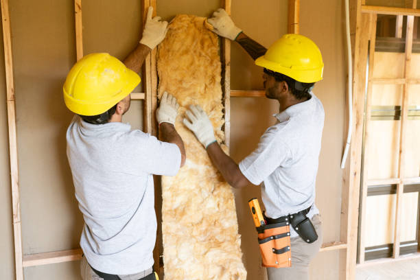 Best Residential Insulation Services  in Olmsted Falls, OH