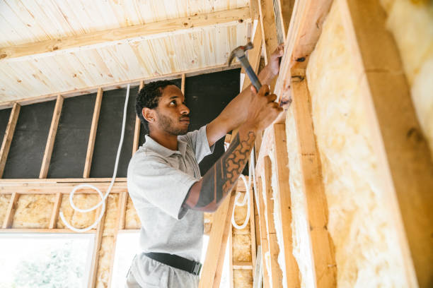 Best Wall Insulation Contractor  in Olmsted Falls, OH