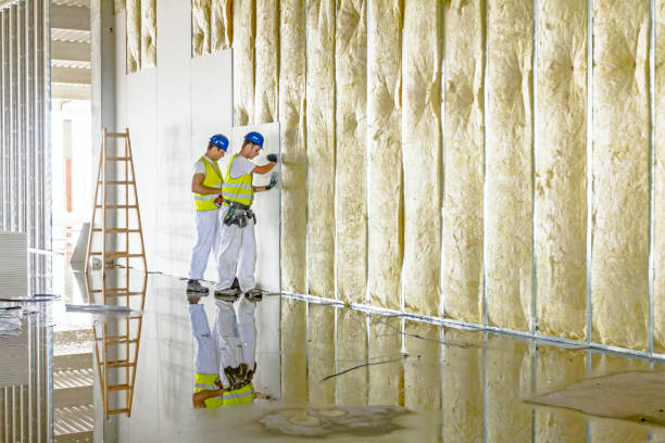 Best Soundproof Insulation Installation  in Olmsted Falls, OH